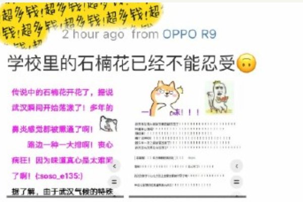 石楠花的味道是什么梗？