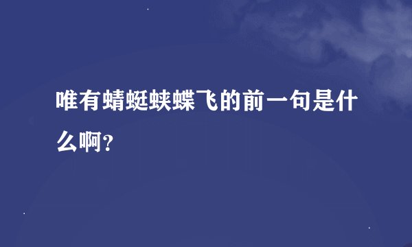唯有蜻蜓蛱蝶飞的前一句是什么啊？