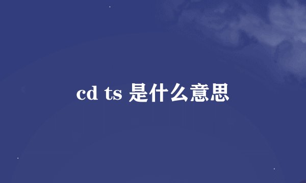 cd ts 是什么意思