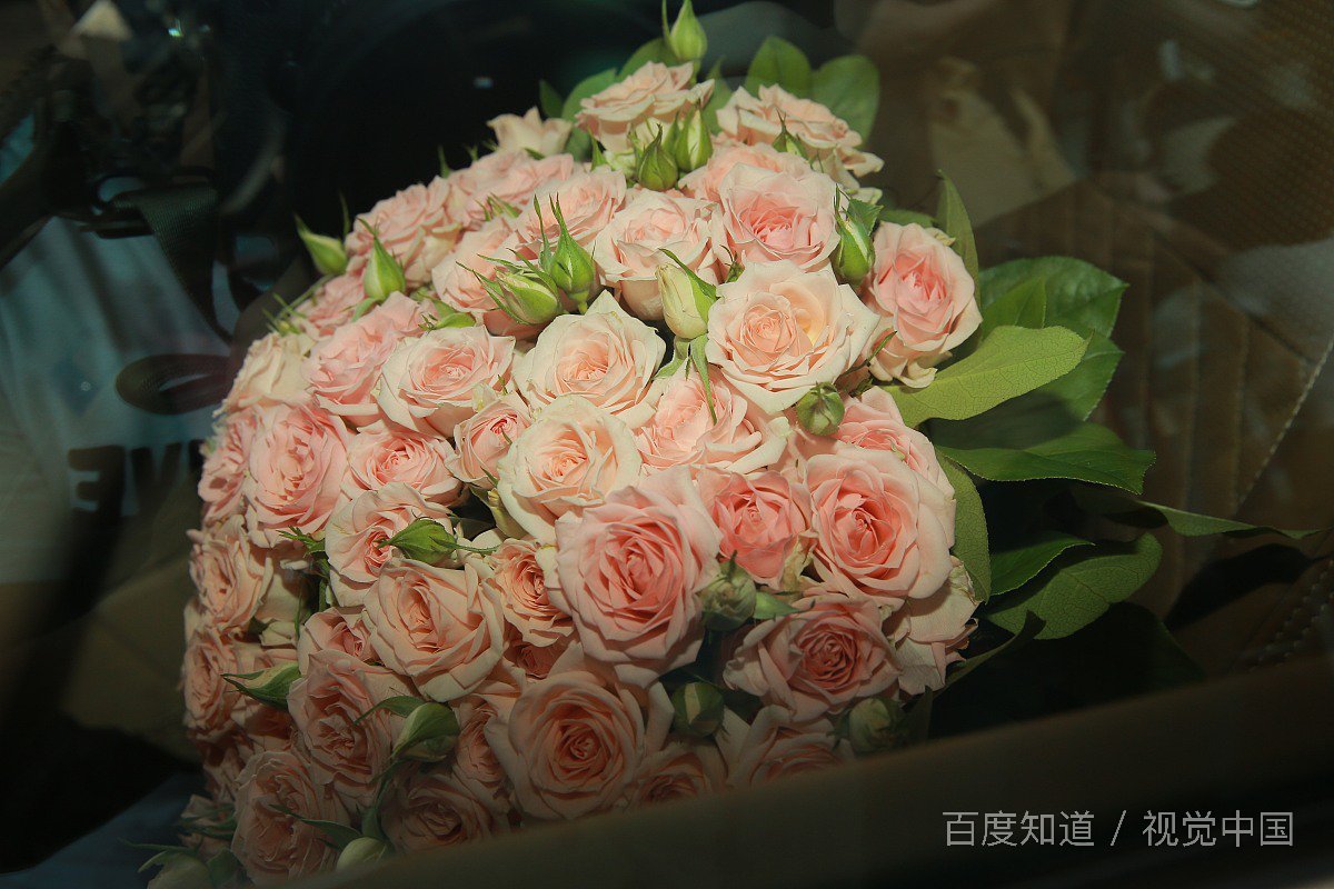 别人给回复一个字妥什么意思？