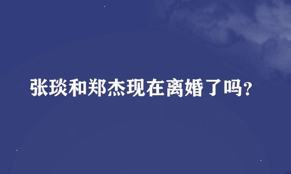 张琰和郑杰现在离婚了吗？