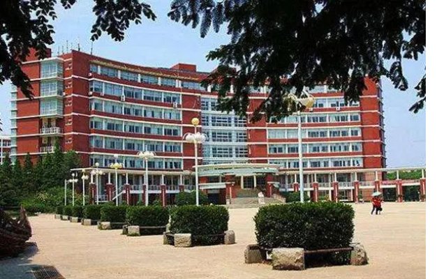 青岛职业技术学院2023录取线是多少？