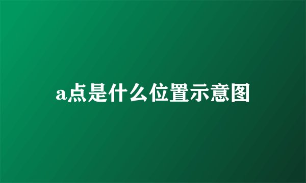 a点是什么位置示意图