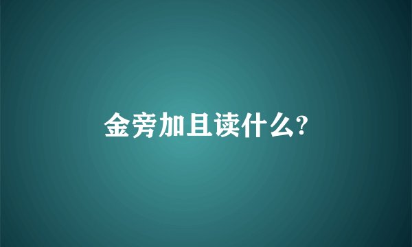 金旁加且读什么?