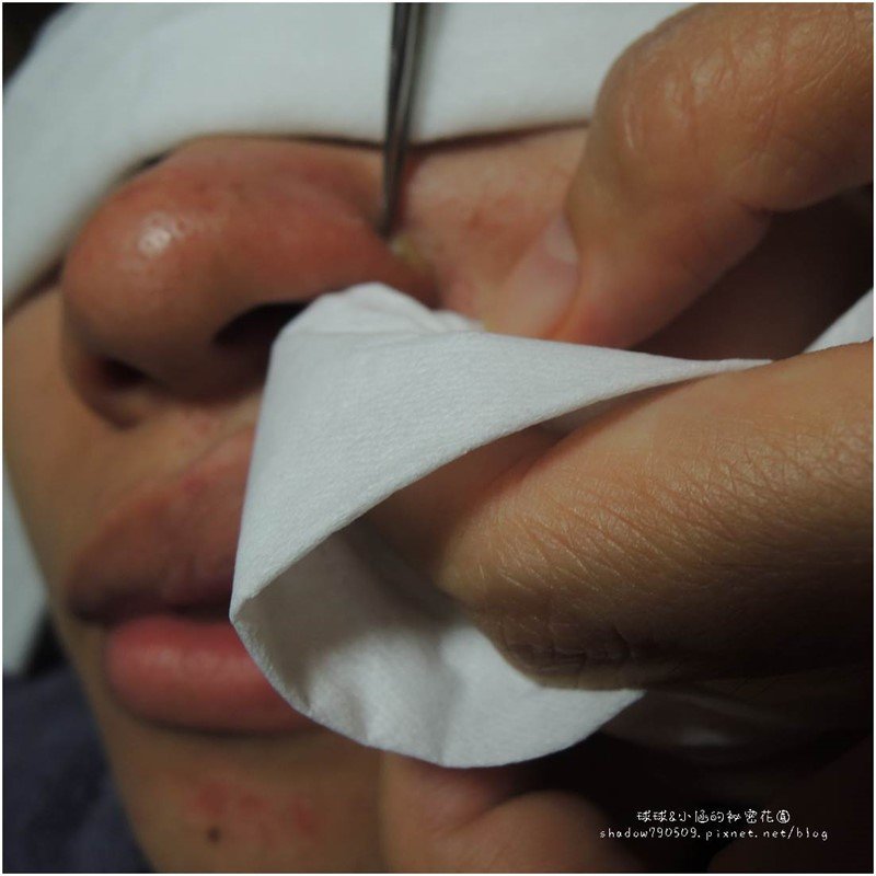 试用网的基本介绍