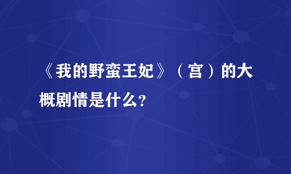 《我的野蛮王妃》（宫）的大概剧情是什么？