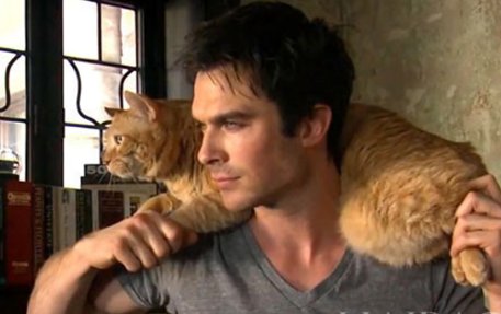 《吸血鬼日记》中Damon的扮演者是谁?他的演技怎么样?