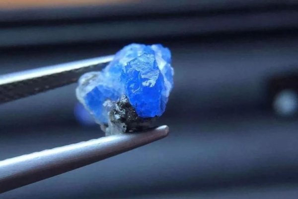 钴价一年半涨近6成，致其涨价的原因是什么？