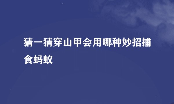 猜一猜穿山甲会用哪种妙招捕食蚂蚁