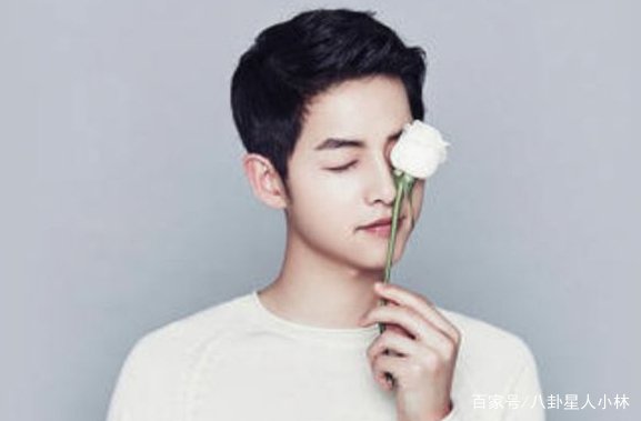 双宋为什么离婚?