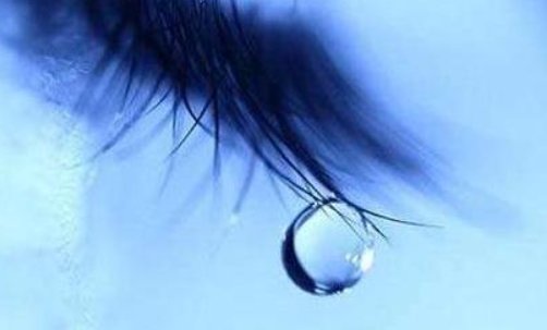 歌词是,寂寞是你慢慢回赠我的礼物,你的狠心的歌名叫什么？