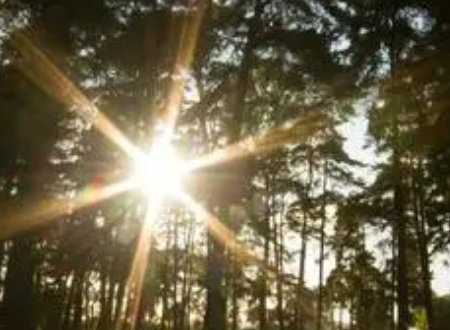 填空题，什么的光芒