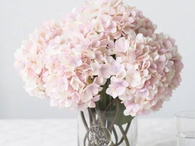 女人一般喜欢什么花？