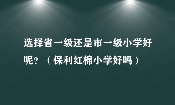 选择省一级还是市一级小学好呢？（保利红棉小学好吗）