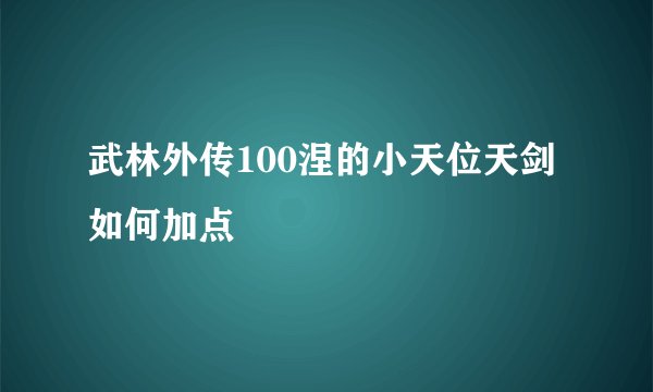 武林外传100涅的小天位天剑如何加点