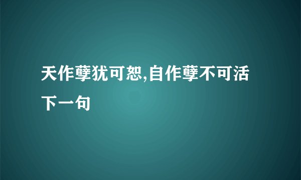 天作孽犹可恕,自作孽不可活下一句