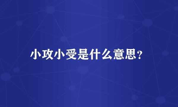 小攻小受是什么意思？