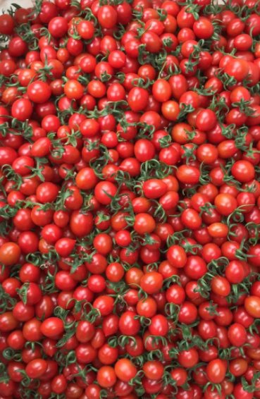 沈阳阳性圣女果已致11人感染，这批阳性圣女果到底从而来？