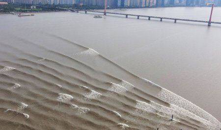 后浪是什么意思?