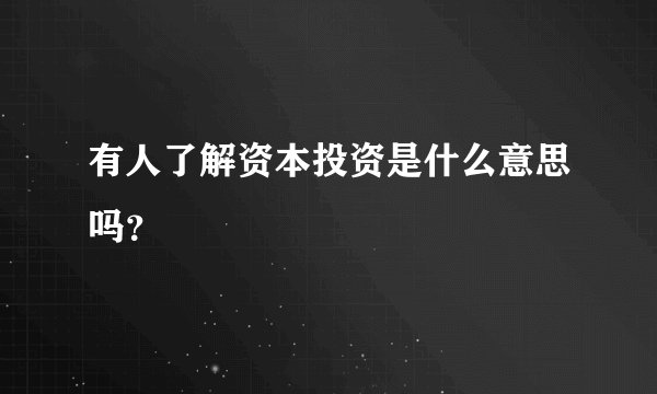 有人了解资本投资是什么意思吗？