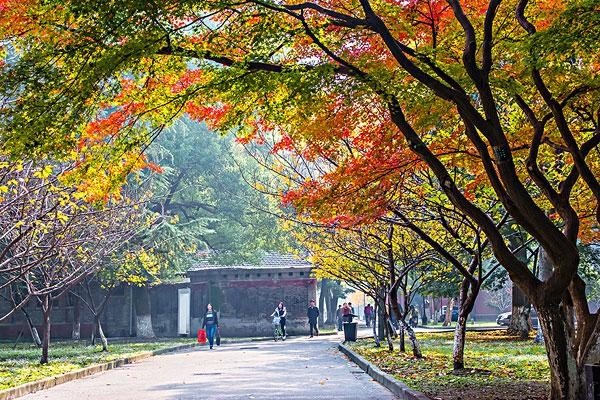 苏州大学是一本还是二本