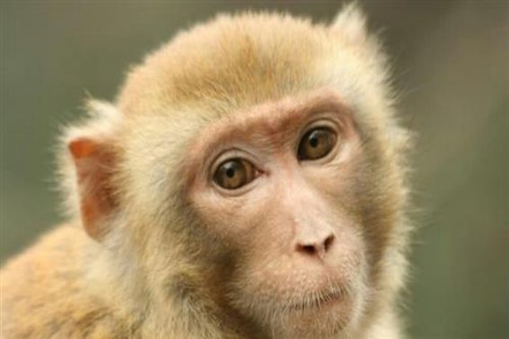 望眼欲穿是什么意思解释