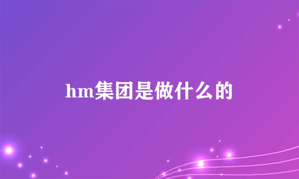 hm集团是做什么的