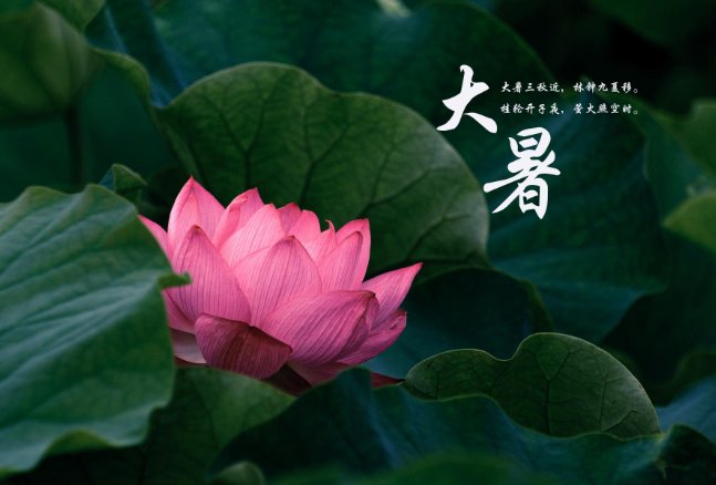 2023年大暑节气是几月几日几时几分几秒？