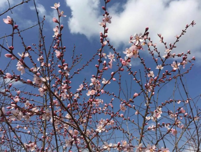 描写的夸张句盼望