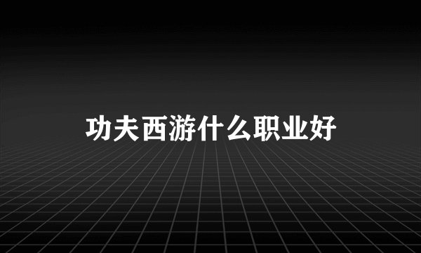 功夫西游什么职业好