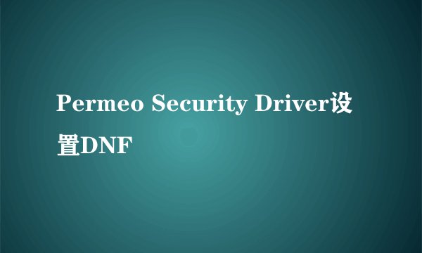 Permeo Security Driver设置DNF