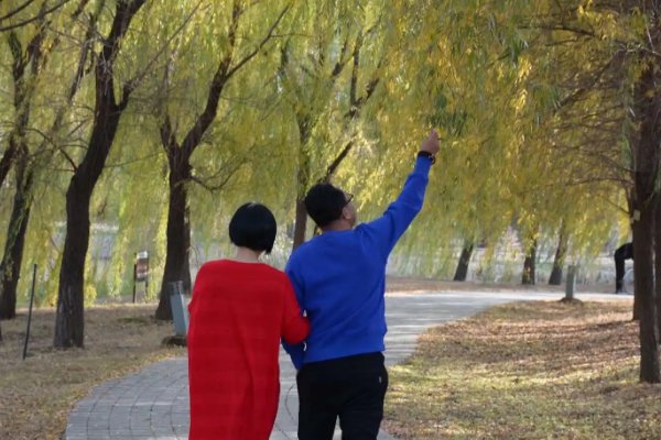 伉俪是什么意思