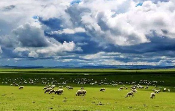 天苍苍野茫茫风吹草低见牛羊里的见是什么意思
