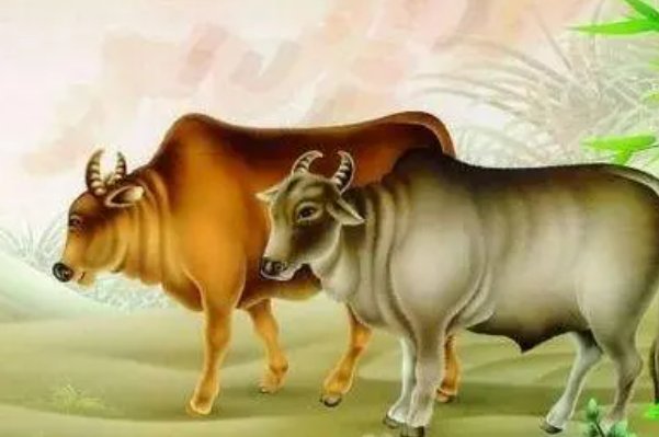 青天霹雳猜一生肖