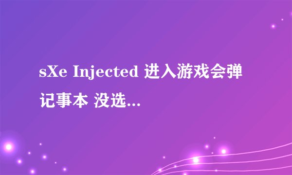 sXe Injected 进入游戏会弹记事本 没选人物之前 我用的CS版本是 CS1.6 Okgogogo增强普及版 3647