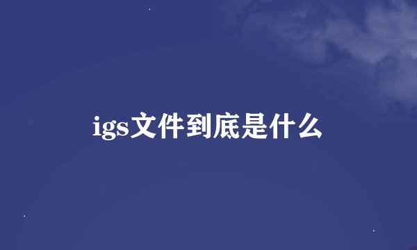 igs文件到底是什么