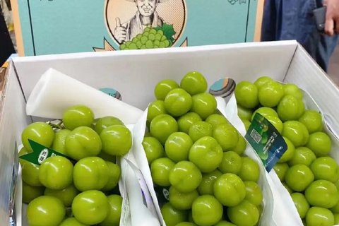晴王葡萄每斤从200多元跌到10多元，价格跳水的原因是什么？