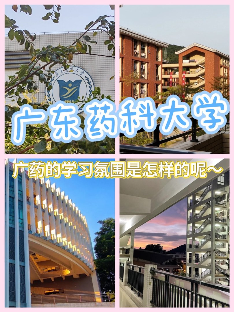 广东药科大学的学习氛围如何
