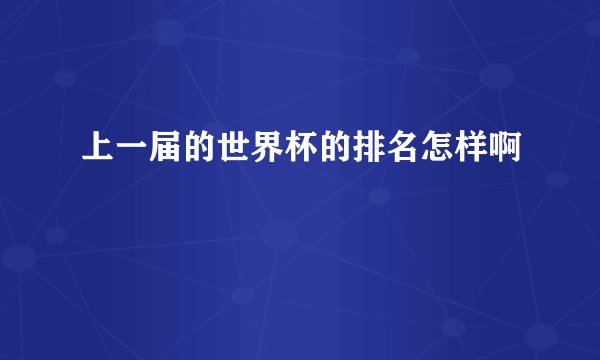 上一届的世界杯的排名怎样啊