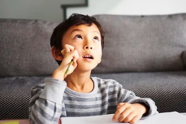 整数的概念和定义