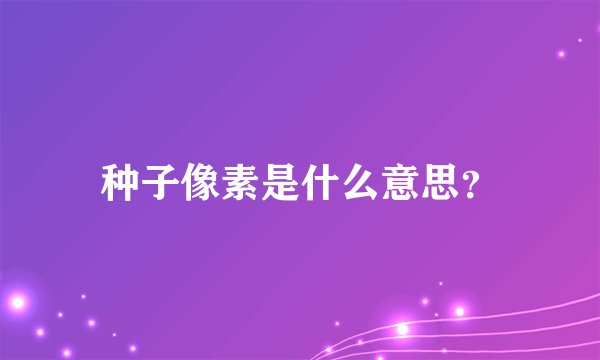 种子像素是什么意思？