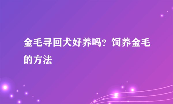金毛寻回犬好养吗？饲养金毛的方法