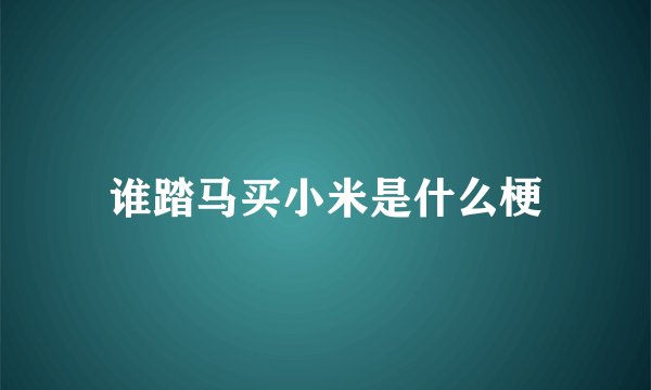 谁踏马买小米是什么梗