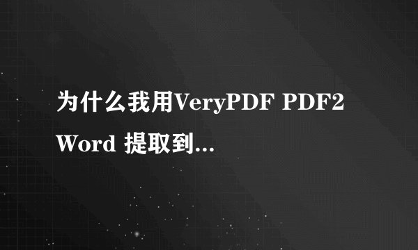 为什么我用VeryPDF PDF2Word 提取到word的还是图片格式？