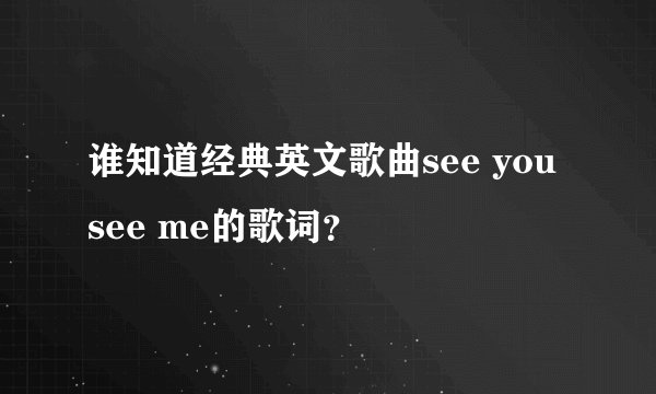 谁知道经典英文歌曲see you see me的歌词？