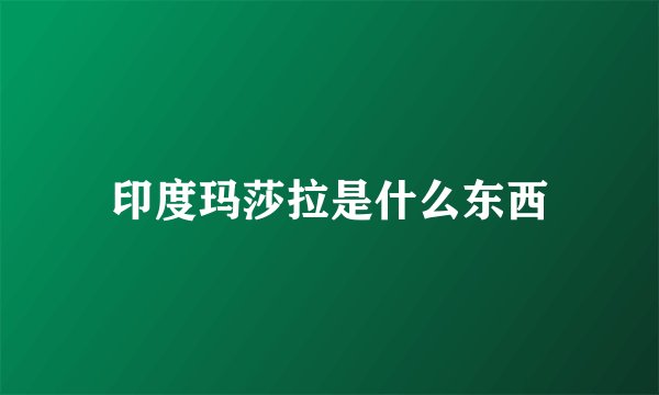 印度玛莎拉是什么东西