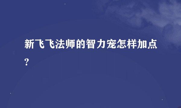 新飞飞法师的智力宠怎样加点?