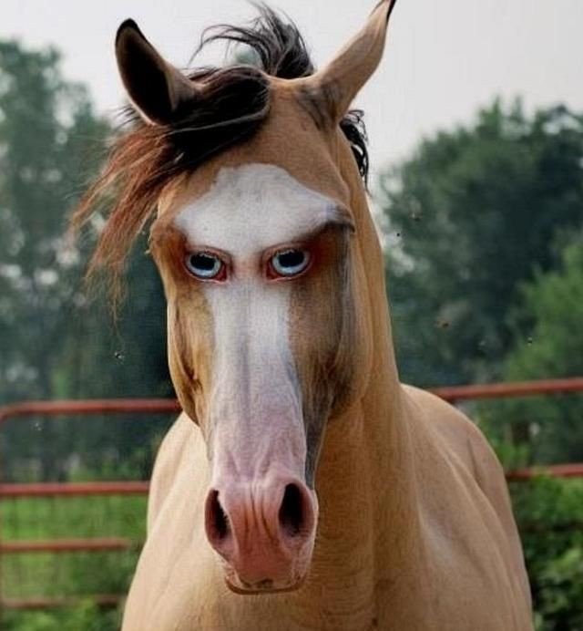 某网店销售某款童装，每件售价60元，每星期可卖100件，为了促销