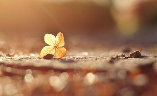 人到老了只剩三亿，哪三亿？