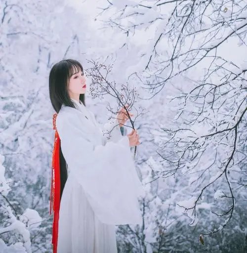 同淋雪共白头诗句完整版是什么?